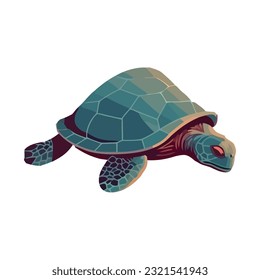 Slow turtle crawls over white