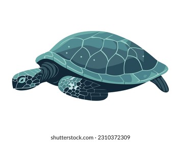 Slow turtle, cute reptile in nature icon isolated