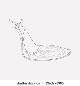 Slug icon line element. Vector illustration of slug icon line isolated on clean background for your web mobile app logo design.