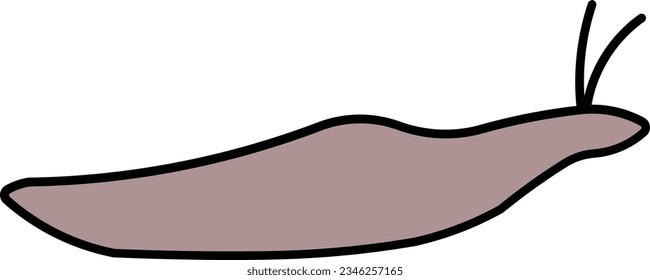 slug snail slow shell garden Outline eps