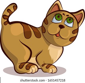 Sly and affectionate cat. Vector illustration.