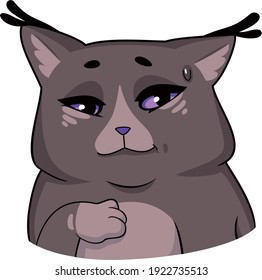 Sly cat sabe algo y sonríe