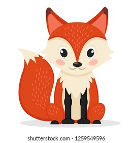 Sly Fox sitting on a white. Wild animal.