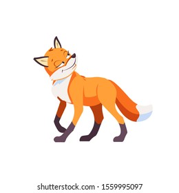 Sly Fox smiling ponders a plan of deception. Cartoon Vector illustration isolated on white background.