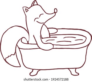 sly fox washes in the bathroom