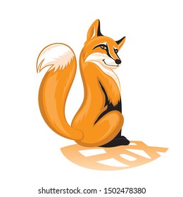 Sly orange fox on a white background.