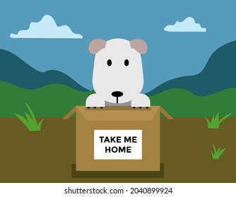 smal dog in the box, take me home, nature in the background, vector illustration