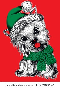 Smal dog in a green Santa's cap & scarf. Christmas and New Year  vector illustration on red background.