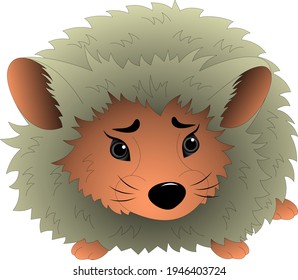 small adorable gray hedgehog, prickly, on a white background