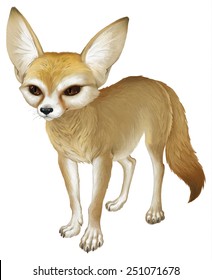 Small African fox Fennec - digital realistic vector art