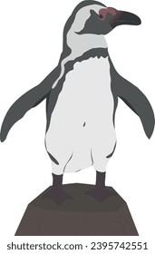  Small african penguin Magellanic Humboldt Galapagos. Cute small animal. Vector graphics. Aquatic flightless bird.