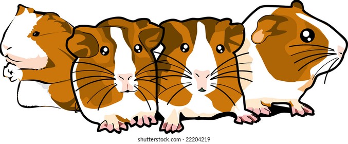 'small animal' 'cute hamster'
