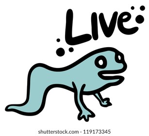 Small animal live