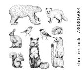 Small animals drawings set on white background with hare, fox, hedgehog, bear, squirrel, ermine, birds and arctic fox.