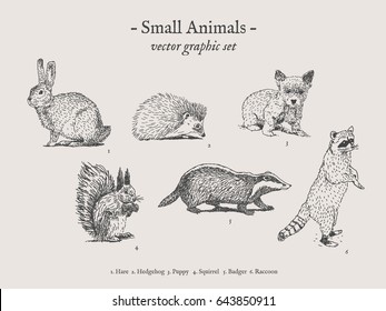 Small animals drawings set on grey background with hare, hedgehog, puppy, squirrel, badger, raccoon