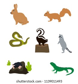 Small animals set in flat style. Snake, hare, squirrel, skunk, raccoon, mole, lizard, isolated on white. Vector Illustration