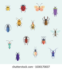 small animals vector images