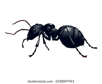 Small ant design over white