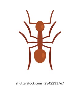 Small ant icon. Flat illustration of Small ant vector icon for web design isolated