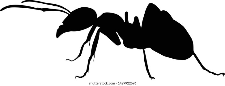 Small Ant Silhouette Vector Style