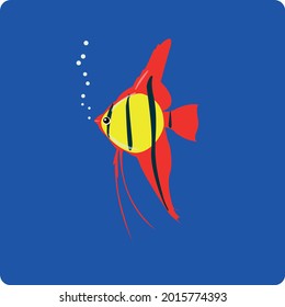 Small aquarium funny colorful fish brings joy