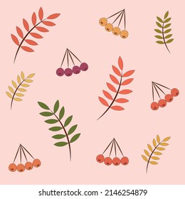 Small autumn set on a light pink background. Rowan (berry) in different shades of red and rowan leaves in autumn colors. Flat design. All objects are isolated.