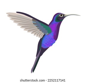 Small avian animal portrait, isolated colibri with colorful plumage and feathers, long beak and wings. Exotic species and tropical nature, fauna and zoology of wilderness. Vector in flat style