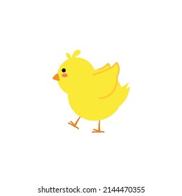 small baby bird emergence from egg, cracked shell in laying hens nest,Chicken hatching stages. Newborn little cute chick,Easter chicks concept.