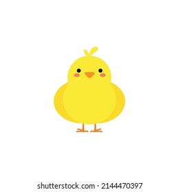 small baby bird emergence from egg, cracked shell in laying hens nest,Chicken hatching stages. Newborn little cute chick,Easter chicks concept.