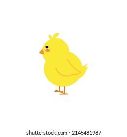 small baby bird emergence from egg, cracked shell in laying hens nest,Chicken hatching stages. Newborn little cute chick,Easter chicks concept.