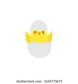 small baby bird emergence from egg, cracked shell in laying hens nest,Chicken hatching stages. Newborn little cute chick,Easter chicks concept.