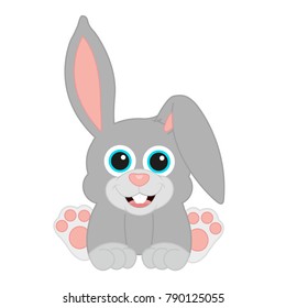 small baby grey bunny sitting 