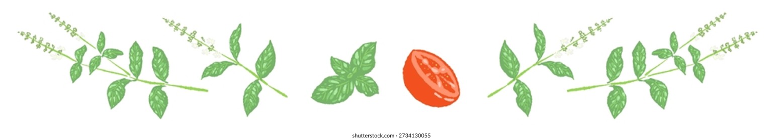 Pequeña línea de hojas de albahaca divisor