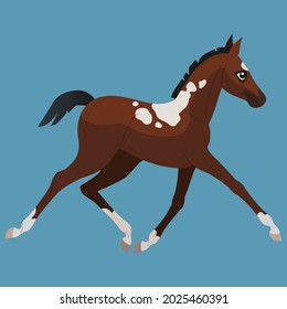 A small bay pony with spots runs at a trot. Horses icons flat style. Vector isolated illustration.