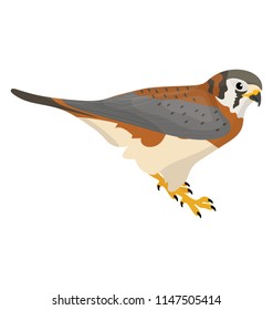 
Small beaked bird in multi color with long tail symbolizing brown-headed nuthatch
