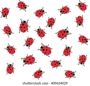 Small beautiful red ladybugs insects pleasant spring texture 
