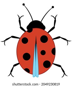 Small beautiful spotted insect ladybug type overhand