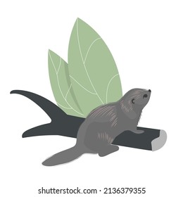 The small beaver rests with its legs on a branch of a dumped tree. Isolated vector illustration on white background