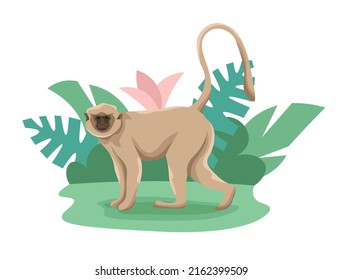 Small beige chimp. Wild jungle plants on the background.