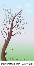 small bent tree with falling leaves