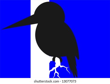  small bird in blue background	