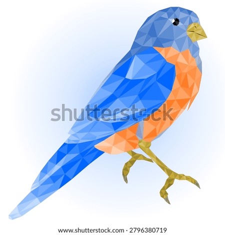 Small bird blue bird thrush  on a blue background   outline low-polygon vector illustration editable hand draw
