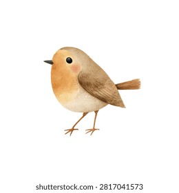 Small bird with brown and orange feathers