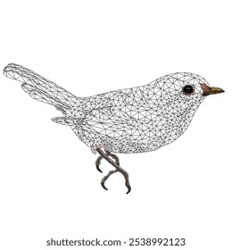 Pequeño pájaro pollito warbler Sylvia curruca esbozo bajo-polígono Ilustración vectorial editable dibujo a mano