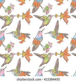 Small bird. Hummingbirds. Floral pattern. Vector seamless pattern (background).