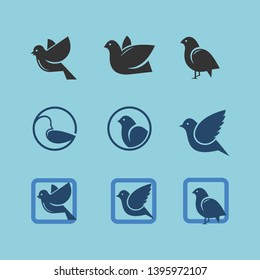 small bird, like, dove, sparrow, etc