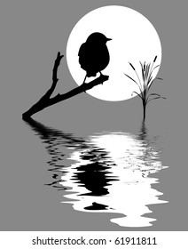 small bird on branch tree amongst water