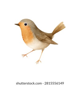 A small bird with orange and brown feathers