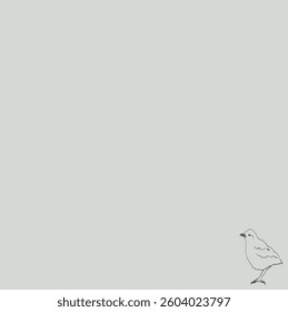 Small bird, outline. On a light background.