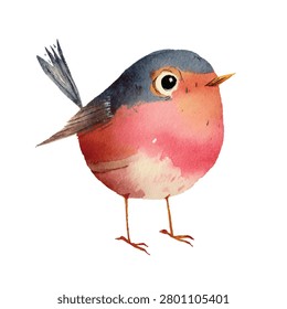 Small bird with pink breast feathers